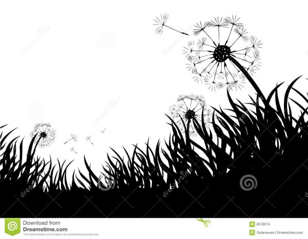 Камыш в графике