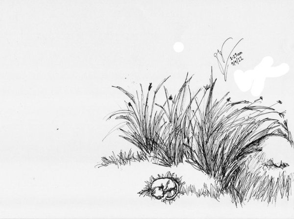 Колыхание травы рисунок