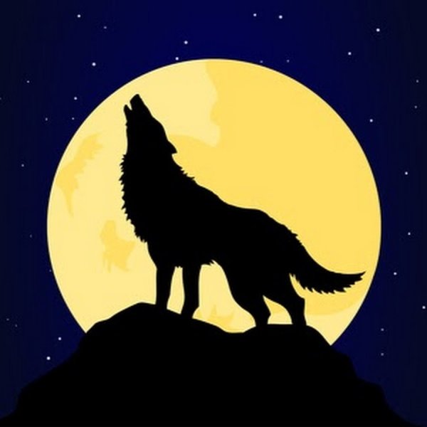 Аолк аоет налунк срисовка