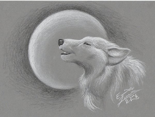 Волк и Луна для срисовки
