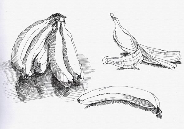 Зарисовки карандашом предметов