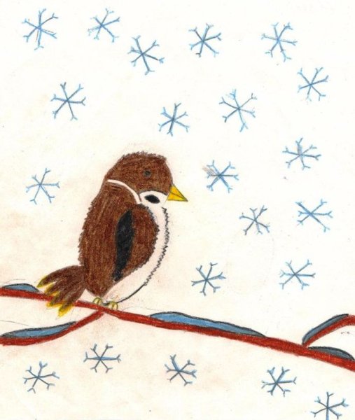 Воробей карандашом