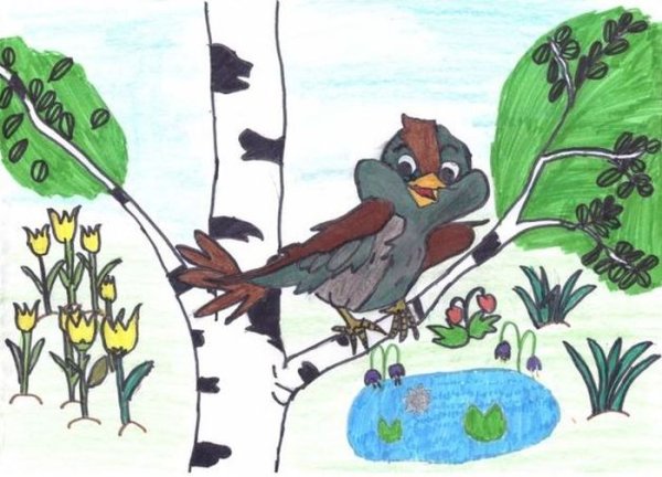 Сладков сорока