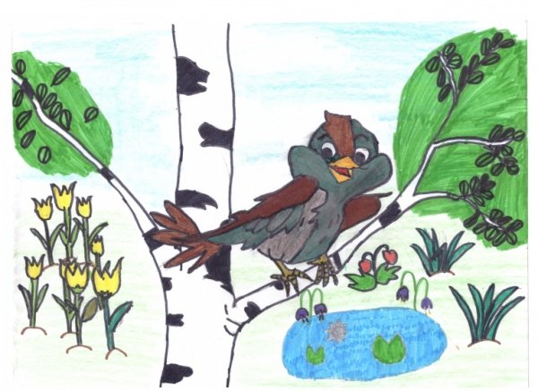 ПАУСТОВСКИЙРАСТРЁПАННЫЙ Воробей раскраска