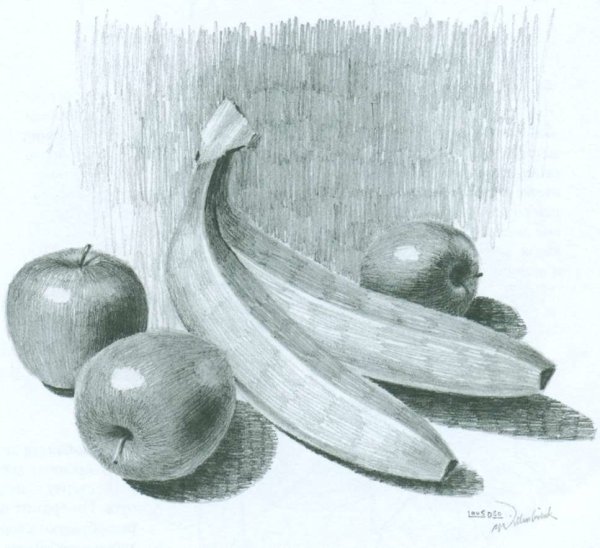 Натюрморт рисунок карандашом