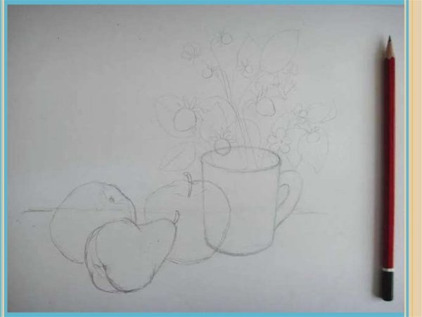 Натюрморт карандашом для начинающих