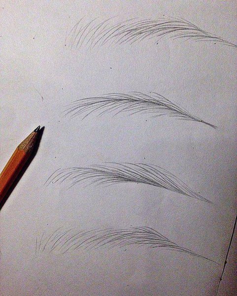 Схема прорисовки волосков бровей