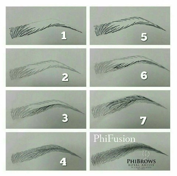 Схема волоскового татуажа бровей