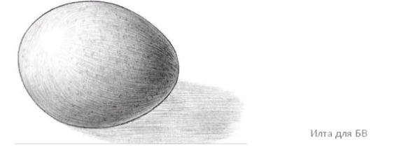 Яйцо куриное карандашом