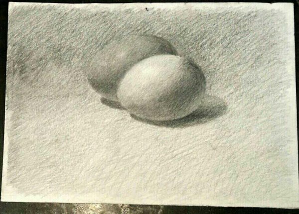 Яйцо штриховка