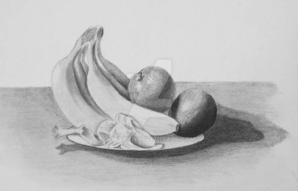 Натюрморт рисунок карандашом