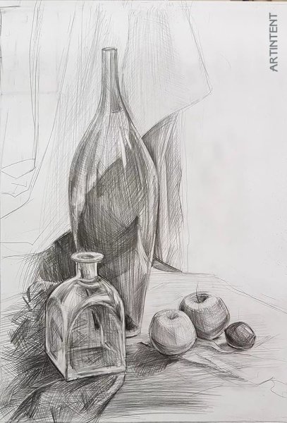 Натюрморты карандашом Юрий Кушевский