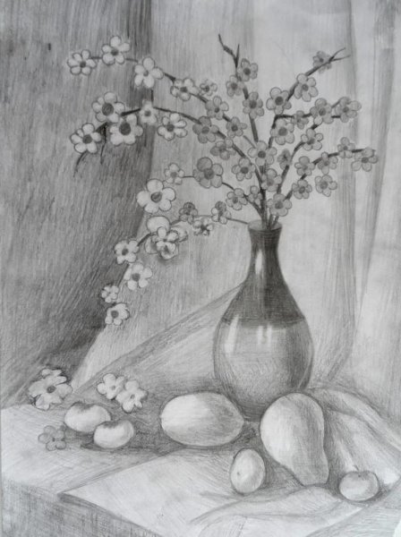 Натюрморт простым карандашом