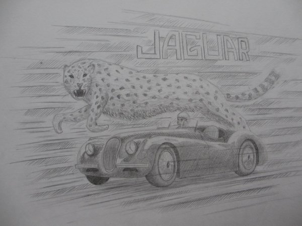 Ягуар карандашом