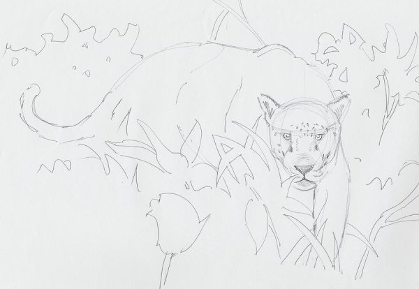 Ягуар карандашом