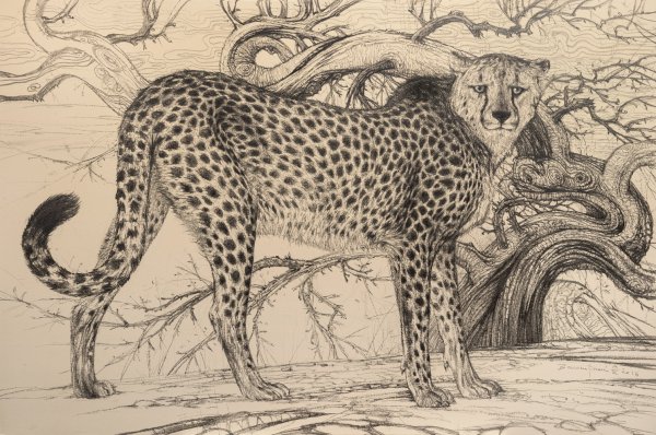 Ягуар тату эскизы