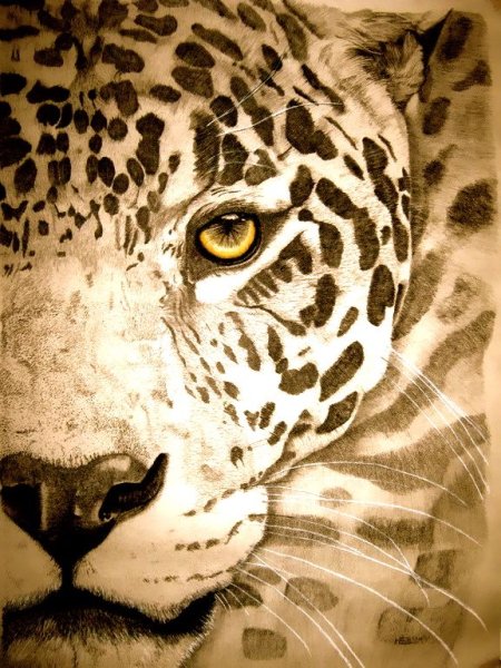 Ягуар детский рисунок