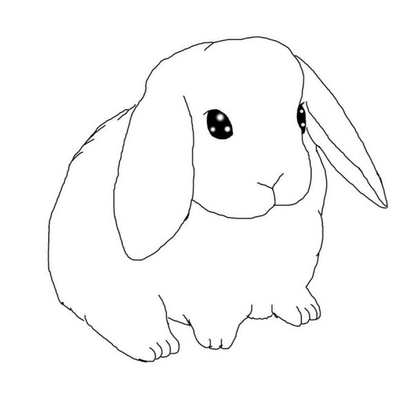 Кролик рисунок