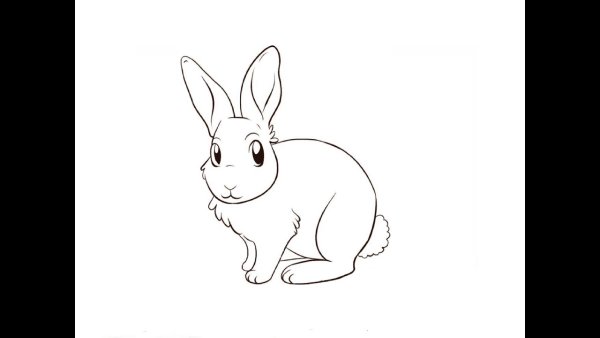 Рисунок зайчика карандашом для срисовки