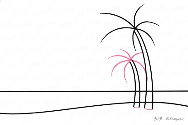 Пальма рисунок карандашом