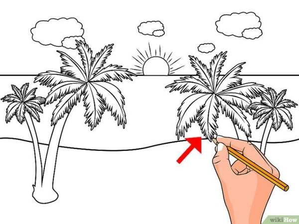 Пальма пошагово