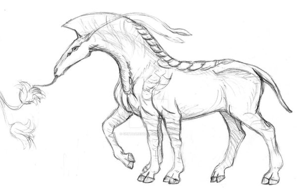 Раскраска аватар животные