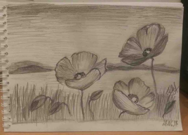 Пейзаж цветы карандашом