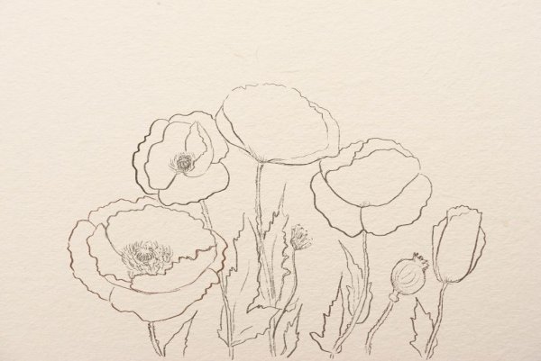 Наброски для акварели карандашом