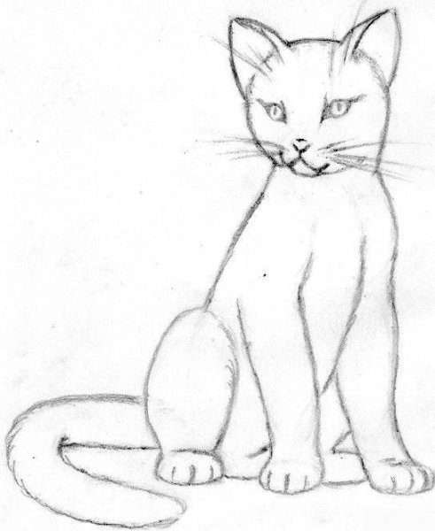 Кошка рисунок карандашом