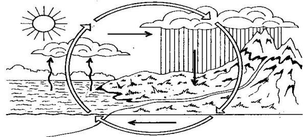 Раскраска круговорот воды в природе 3 класс
