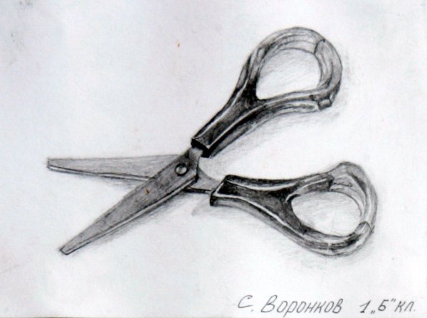 Зарисовки мелких предметов