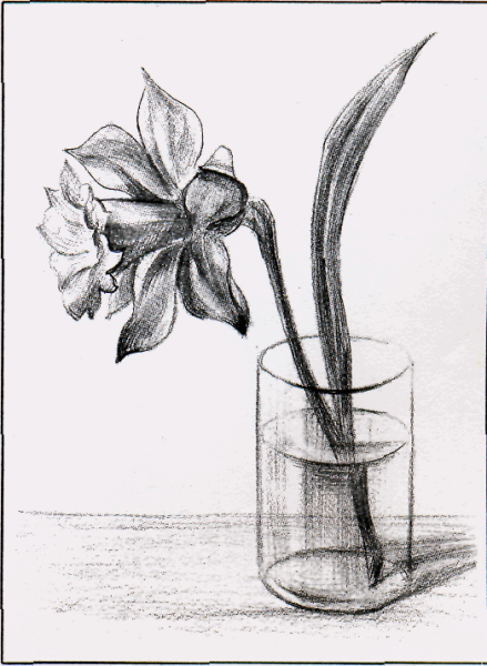 Цветы карандашом