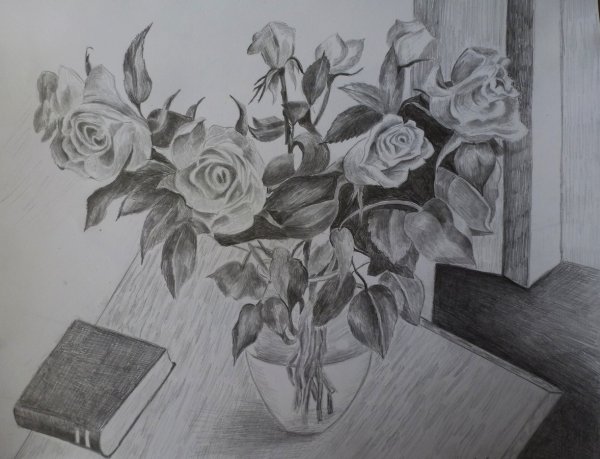 Роза карандашом