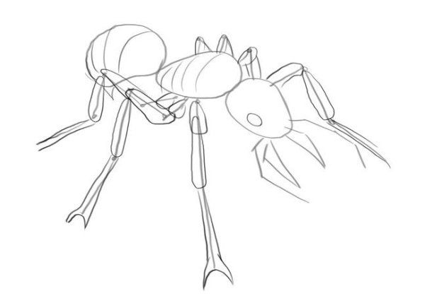 Муравей рисунок для детей