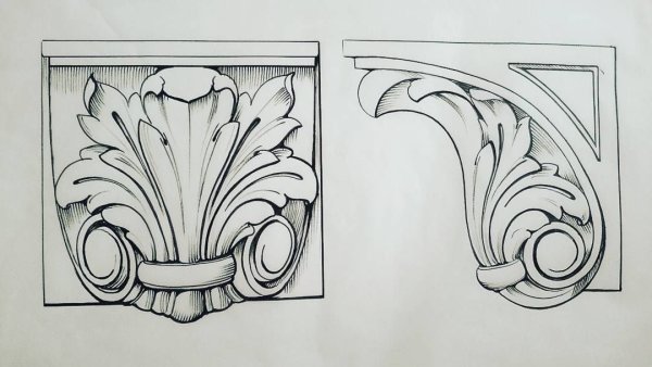 Эскизы листьев аканта для резьбы по дереву