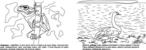 Рисунок к сказке лягушка путешественница 3 класс карандашом