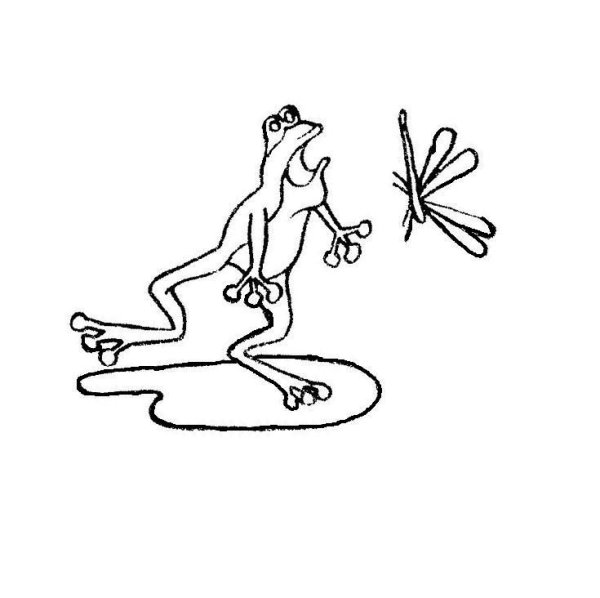 Раскраска по сказке лягушка путешественница