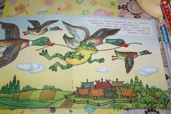 Лягушка прыгает раскраска