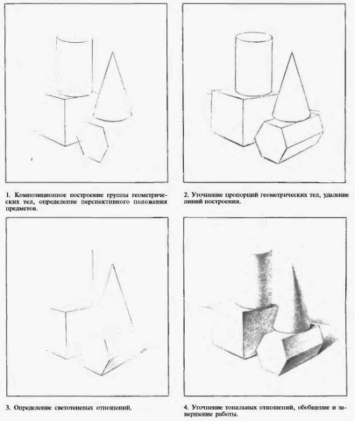Этапы построения натюрморта в рисунке