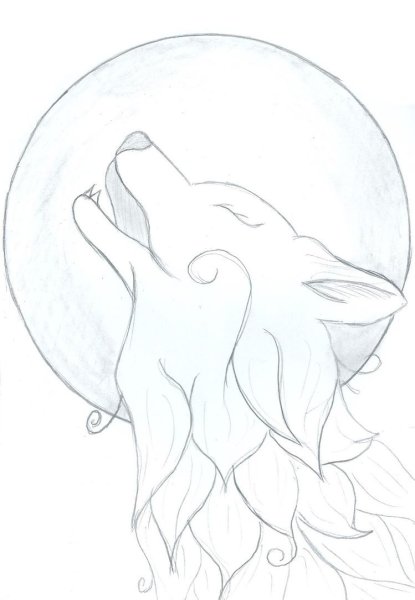 Рисунки животных карандашом