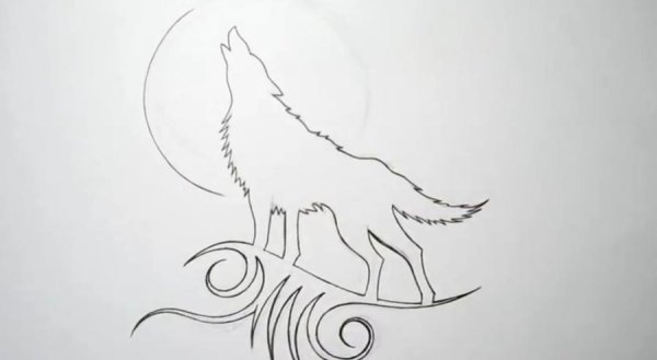 Рисунки Волков простым карандашом