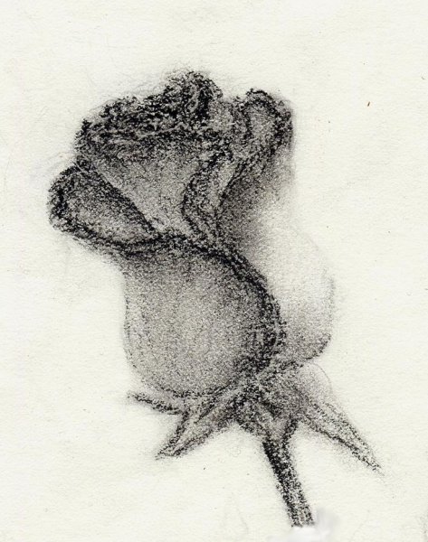 Рисунок углем легкий