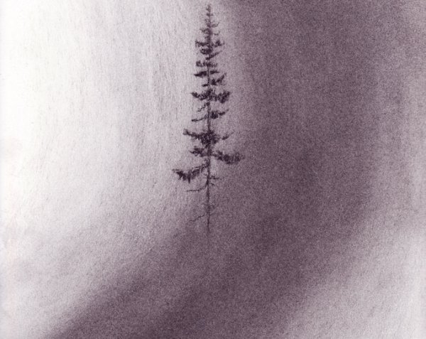 Рисунки углем для начинающих