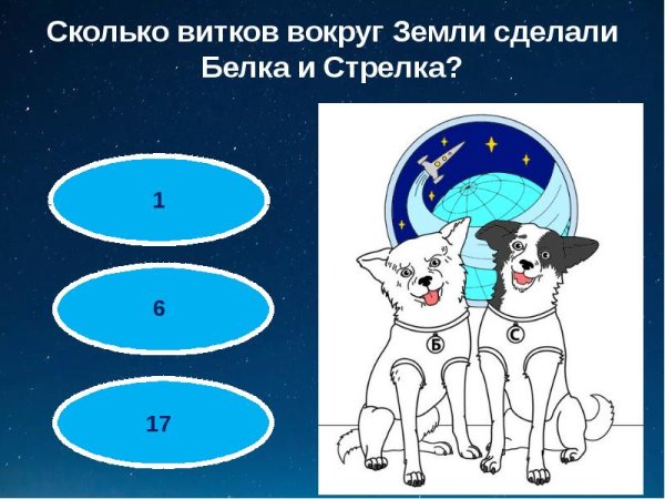 Белка и стрелка вокруг земли