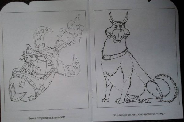 Белка и стрелка на белом фоне