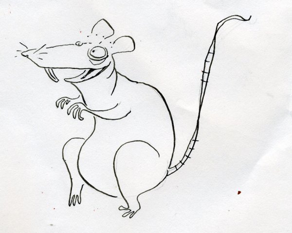 Крыса рисунок карандашом