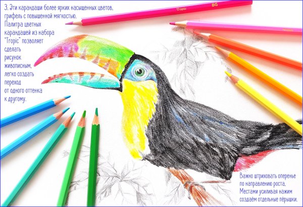 Первый рисунок цветным карандашом