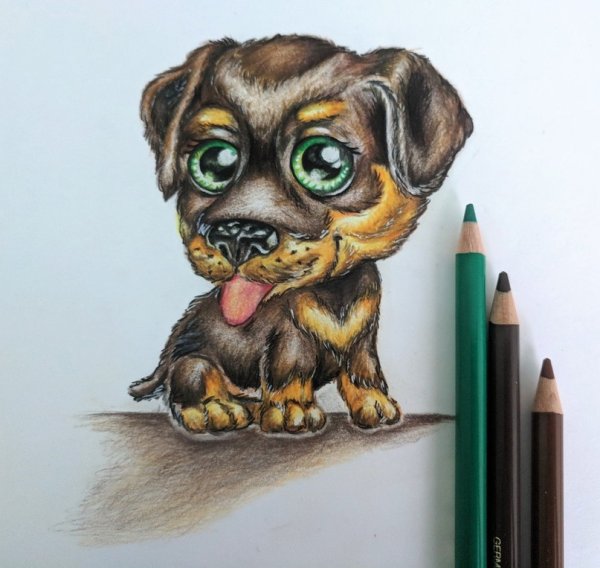 Рисунки цветными карандашами