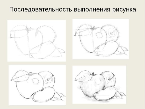 Этапы штрихования натюрморта