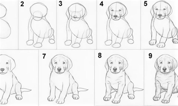 Простые пошаговые рисунки